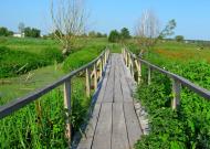 Кустин з panoramio.com