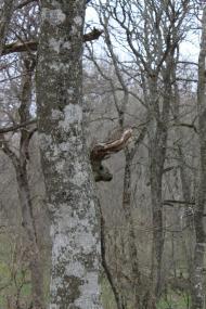 Учебне з panoramio.com