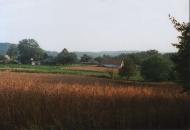 Чайки з panoramio.com