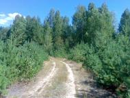 Добрянка з panoramio.com