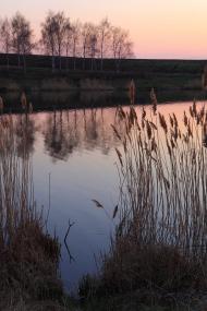 Дементіївка з panoramio.com