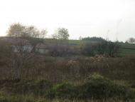 Підгірці з panoramio.com