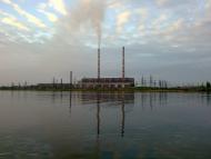 Берестки з panoramio.com