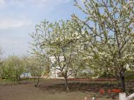 Червонодніпровка з panoramio.com