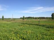 Корощине з panoramio.com