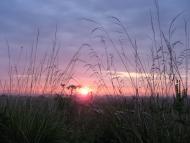 Рунівщина з panoramio.com