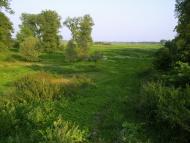 Гуща з panoramio.com