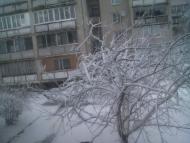 Клевань з panoramio.com