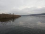 Шостакове з panoramio.com