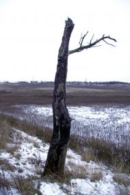 Івана Франка з panoramio.com