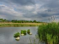 Широчани з panoramio.com