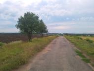 Пролетарське з panoramio.com