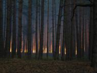 Косачівка з panoramio.com