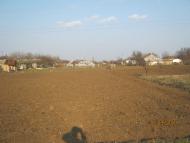 Вірівка з panoramio.com