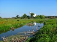 Кустин з panoramio.com