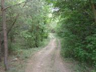 Сокиряни з panoramio.com