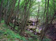 Учебне з panoramio.com