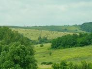 Березівка з panoramio.com