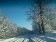 Квіткове з panoramio.com