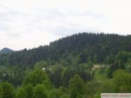 Річка з panoramio.com