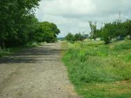 Березівка з panoramio.com