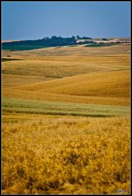 Бармаки з panoramio.com