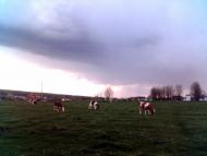 Майдан з panoramio.com