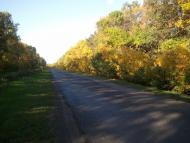 Вільшана - Останні фото