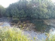 Митківці з panoramio.com