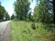 Копанки з panoramio.com