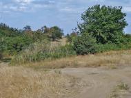 Півче з panoramio.com