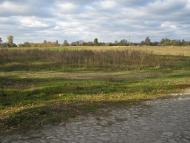 Скрипчин з panoramio.com