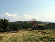 Вучкове з panoramio.com