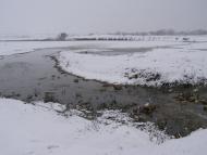 Березнегувате з panoramio.com