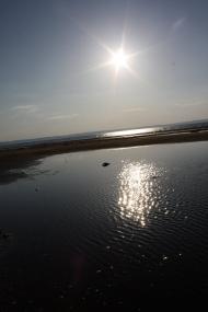 Хоцьки з panoramio.com