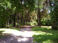 Гуща з panoramio.com