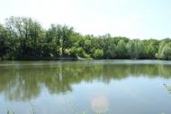 Селезнівка з panoramio.com - Селезневка