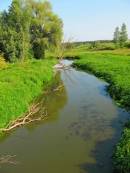 Кустин з panoramio.com