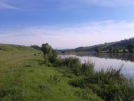 Сорокодуби з panoramio.com