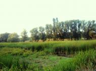 Маринопіль з panoramio.com