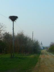 Новосвітівка з panoramio.com