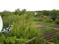 Червонодніпровка з panoramio.com