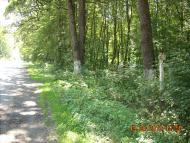 Копанки з panoramio.com