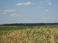 Олексіївка - Останні фото