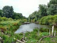 Василівка з panoramio.com