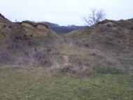 Вербка з panoramio.com