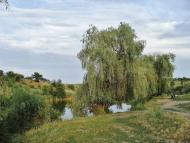 Шахтне з panoramio.com