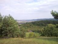 Гринів з panoramio.com