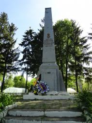 Копачівка з panoramio.com