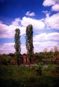 Подимка з panoramio.com